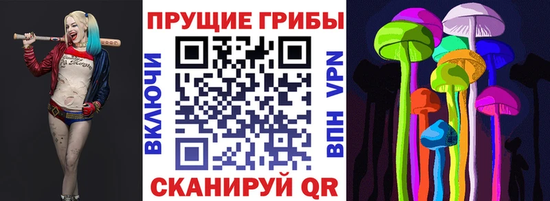 Купить где  Вуктыл  Псилоцибиновые грибы Magic Shrooms 